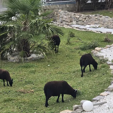 Chambre Villa Privat bolig