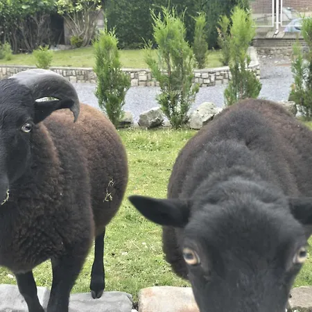 Chambre Villa Waziers