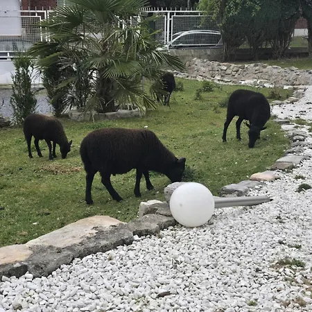 Alloggio in famiglia Chambre Villa Waziers